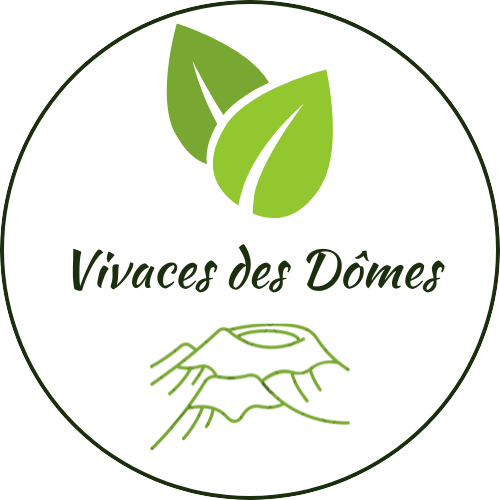 Vivaces des Dômes