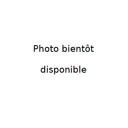 Fenouil bronze et vert