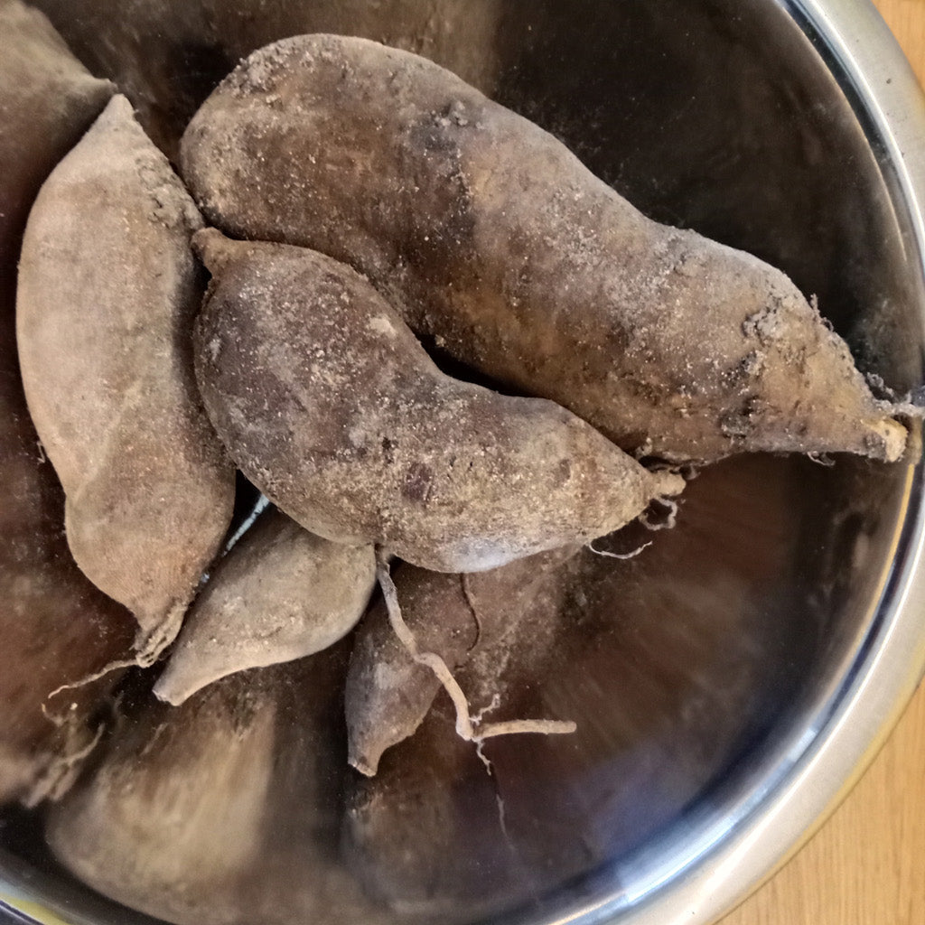 Poire de terre - Yacon
